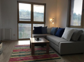 Newly refurbished spacious and cosy apartment St. John Bansko